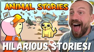 HILARIOUS STORIES! SocksStudios animal stories (REACTION!!!)