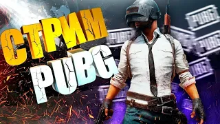 STREАM PUBG: BATTLEGROUNDS PUBG RTX4060 18+ #pubg