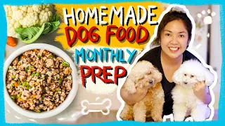 VLOG1: How I make monthly homemade food for my Dogs | Cost Efficient & Practical | The Poodle Mom