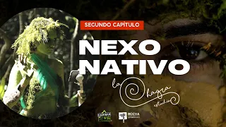 SOBREVIVE A ESPÍRITU DE LA SELVA Esto es NEXO NATIVO (2/2) de La Chagra Estudios RCCVA CaminanTr3s