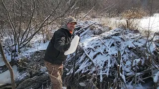 Frozen Beaver Dam Removal Day 2