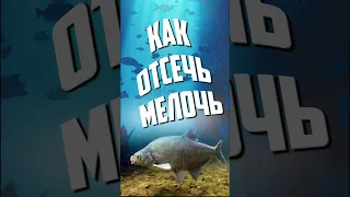 Как отсечь мелочь на рыбалке #ловля #мелочь