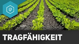 Wie viele Menschen kann die Welt ernähren?: Tragfähigkeit - Landwirtschaft in Industrieländern 1