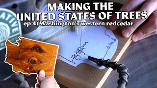 Washington's Western Redcedar | Making the United States out of Native Trees