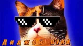 Песня От Куки (Диджей куки - Мяу) - (feat, slivkishow)