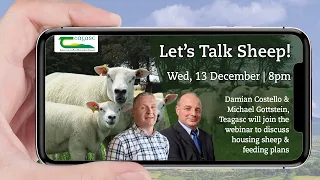 Let's Talk Sheep - Housing sheep & feeding plans