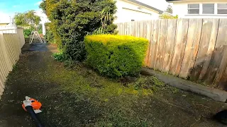 This Customer REALLY NEEDED some ASSISTANCE | Free OVERGROWN Transformation