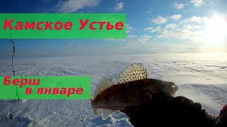 Камское Устье глухозимье 2022г. Зимняя рыбалка на берша в январе.