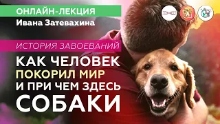 Как человек покорил мир и при чём здесь собаки? Иван Затевахин. #Научная_Станция_Онлайн