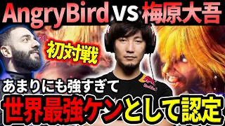 Daigo plays AngryBird for the first time: "This is the strongest Ken"【Daigo Umehara】【clip】