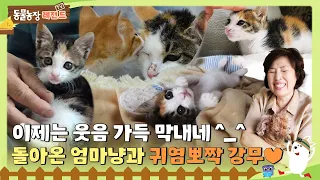 [TV 동물농장 레전드] 이제는 웃음 가득 막내네😊돌아온 엄마냥과 귀염뽀짝 강무🐾 I TV동물농장 (Animal Farm) | SBS Story