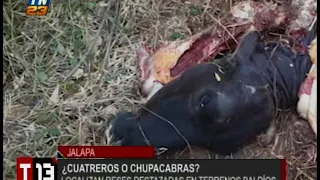 En Jalapa hablan del chupacabras