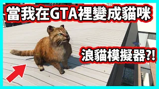 【阿航】當我在GTA5裡變成貓咪? 這才是浪貓模擬器!! (GTA5 MOD)