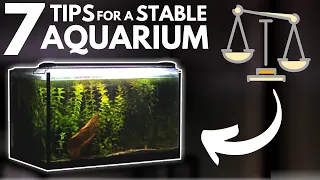 7 Tips for Keeping a Stable Aquarium