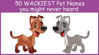 50 WACKIEST Pet Names you might never heard!Dogdog