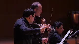 Antonio Vivaldi Concerto in G minor RV 107 l - Alegro