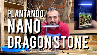 PLANTANDO NANO ACUARIO DRAGÓN