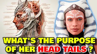 Ahsoka Anatomy Explored - What Is The Purpose Of Her Head Tails? Can She Die If They Get Damaged?