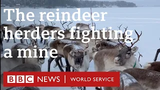 The reindeer herders fighting a mine - BBC World Service