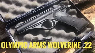 Check it out! Olympic Arms Wolverine