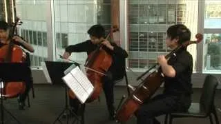 2014 ACA: Cello Quartet Guest Artists