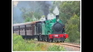 Australian steam locomotives 1709, 2705, 3001, 3642 & 5910 - Thirlmere Festival of Steam - 1996