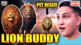 New Hola Buddy Crate Opening | Lion Buddy Lucky Spin | Lion Buddy | BGMI | PUBG MOBILE