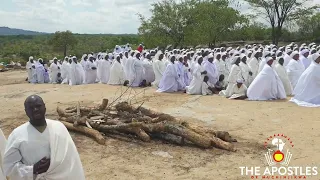 Johane Masowe Muchinjikwa- Hossana Mukuru