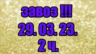 🌸Продажа орхидей. ( Завоз 29. 03. 23 г.) 2 ч. Отправка только по Украине. ЗАМЕЧТАТЕЛЬНЫЕ КРАСОТКИ👍