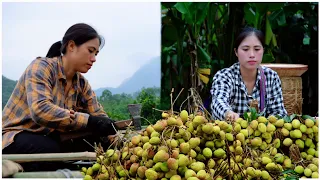 Busy summer day. Harvesting Lychees, completing the flower trellis and Mother-in-law's dinner