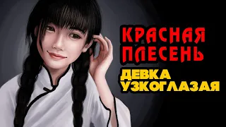 Красная Плесень - Девка узкоглазая | Лучшие песни