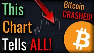 This Chart Explains The Next 6 Months For Bitcoin - MORE Bullish Bitcoin Fundamentals!!