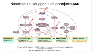 Остеоартроз Лекция часть 1