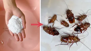 Eliminate cockroaches without drugs.Just sprinkle a handful in the water, All cockroaches are dead
