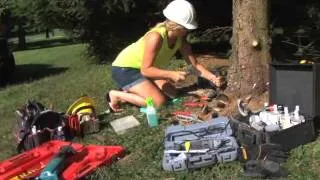 Tree Doctors, Arborist, Parkesburg, PA