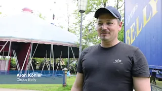 Aufbau vom Zirkuszelt im Celler Schlosspark