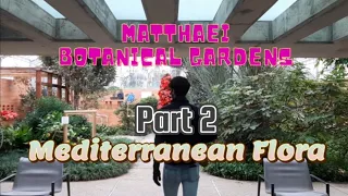 Part 2 Matthaei Botanical Garden Plant Tour with Valen & Nalinne • Growing Home Gardening