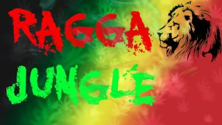 Ragga Jungle  | Drum & Bass  ''Freedom Flame'' Mix By Simonyan vol.24