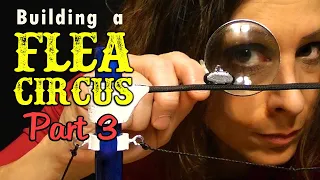 Tight Rope Walking At The Flea Circus - Part 3