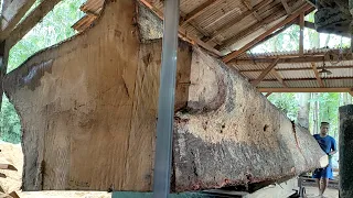 Shake the world!! Dramatic cutting of the largest and longest sacred wood in the sawmill