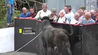 28- 5- 24 Tourada à Corda São Luis São Bento R.B. AÇORES