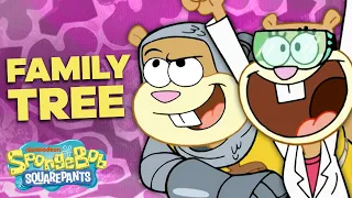 The SANDY CHEEKS Family Tree 👩‍🚀🌳 SpongeBob SquarePants