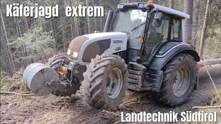 🌲 Forstarbeit 2023 🌲⚠️Käferjagd Extrem ⚠️