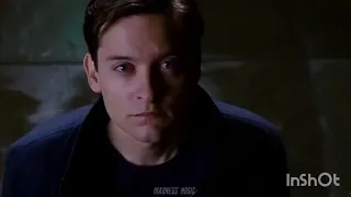 Spiderman (Shane Gould) - Peter Parker 1 2 3 (Tobey Maguire) Tribute