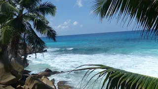 La Digue- Seychellen, Die schönste Insel der Welt