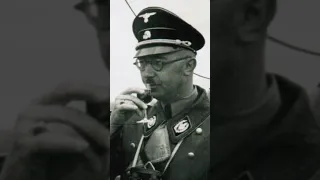 Fate of Heinrich Himmler WW2 - Forgotten History Shorts