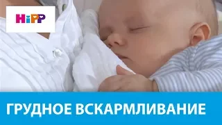 Грудное вскармливание: советы акушера