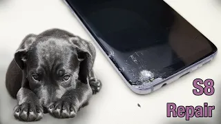 Samsung S8 Restoration - Puppy Chewed Phone