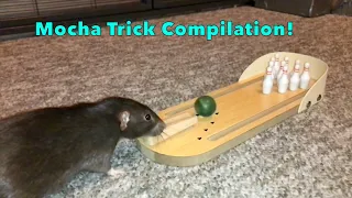 Mocha Trick Compilation