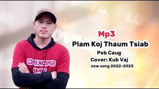 plam koj thaum tsiab peb caug // cover kub vaj // 2022-2023